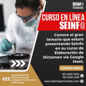 Curso en Línea